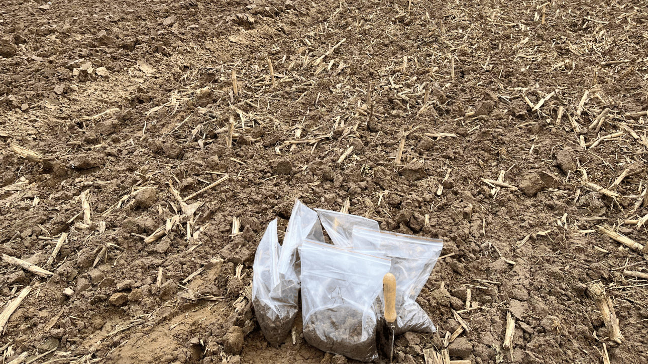 Pobranie prób glebowych